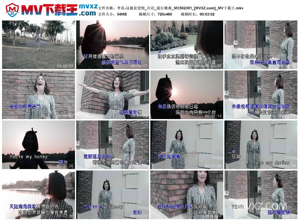 李真-这就是爱情_台语_流行歌曲_MC502351